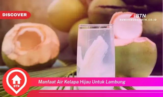 manfaat air kelapa hijau untuk lambung