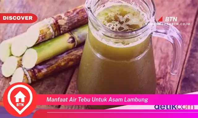 manfaat air tebu untuk asam lambung