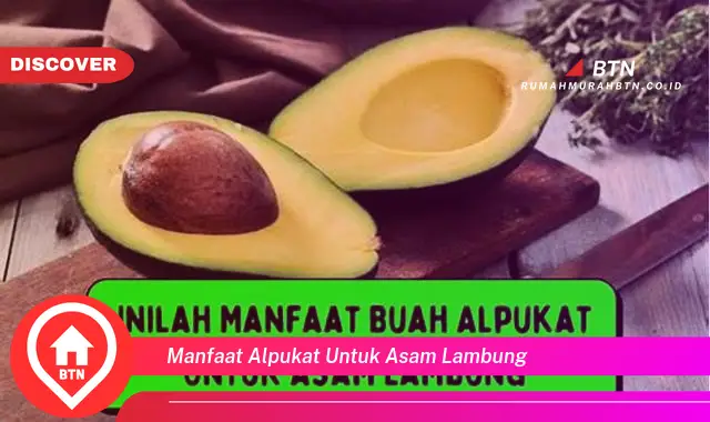 manfaat alpukat untuk asam lambung