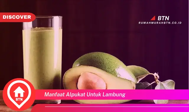 manfaat alpukat untuk lambung