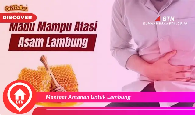 manfaat antanan untuk lambung