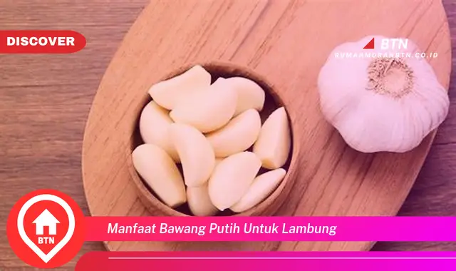 manfaat bawang putih untuk lambung