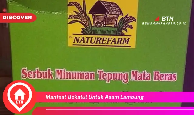 manfaat bekatul untuk asam lambung