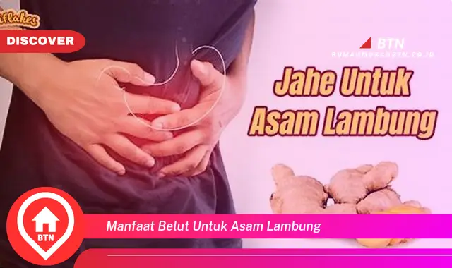 manfaat belut untuk asam lambung