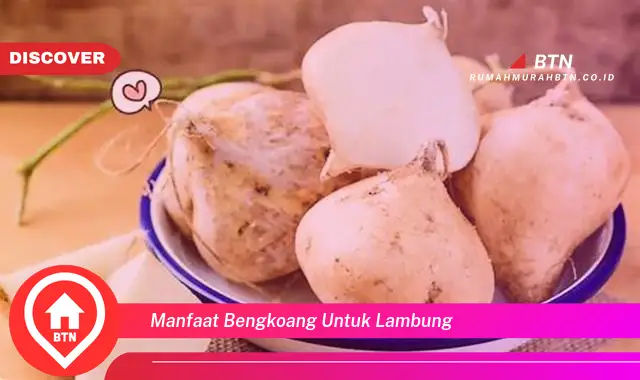 manfaat bengkoang untuk lambung