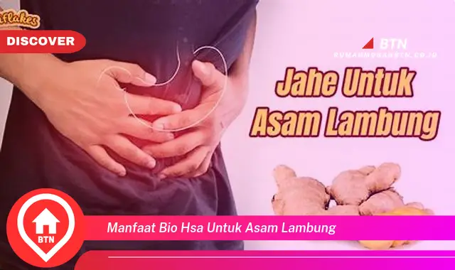 manfaat bio hsa untuk asam lambung