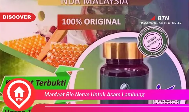 manfaat bio nerve untuk asam lambung