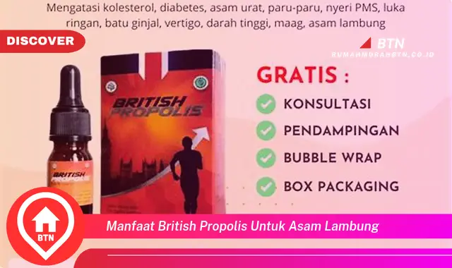 manfaat british propolis untuk asam lambung