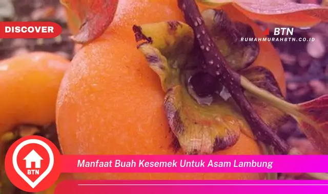 manfaat buah kesemek untuk asam lambung