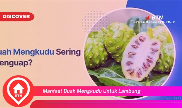 manfaat buah mengkudu untuk lambung