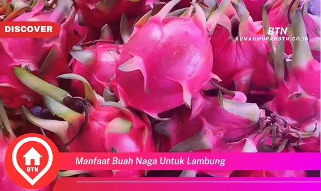 manfaat buah naga untuk lambung