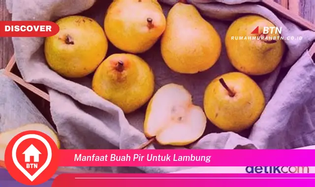 manfaat buah pir untuk lambung