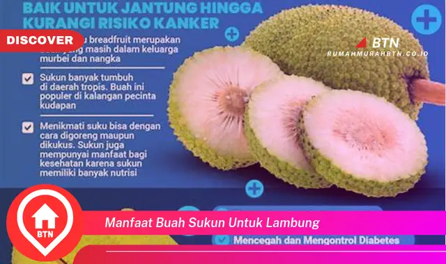 manfaat buah sukun untuk lambung