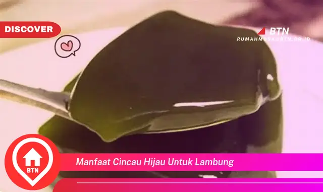 manfaat cincau hijau untuk lambung