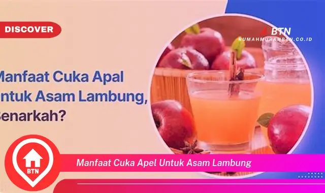 manfaat cuka apel untuk asam lambung