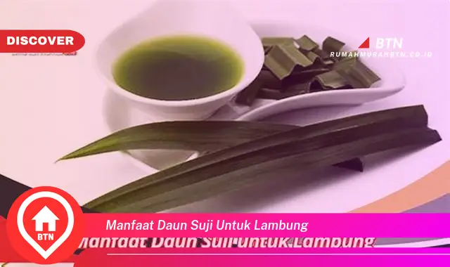 manfaat daun suji untuk lambung