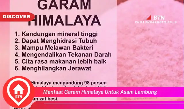 manfaat garam himalaya untuk asam lambung