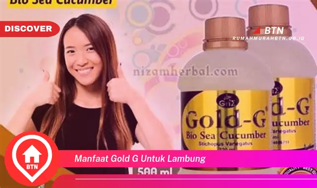 manfaat gold g untuk lambung