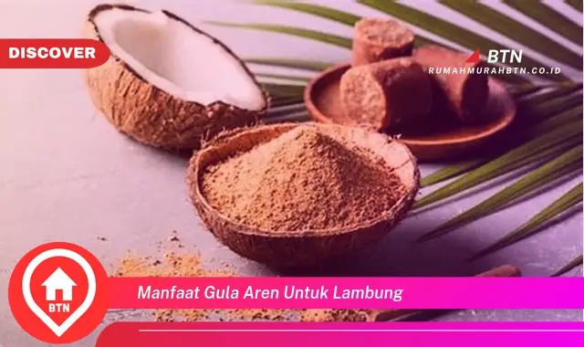 manfaat gula aren untuk lambung