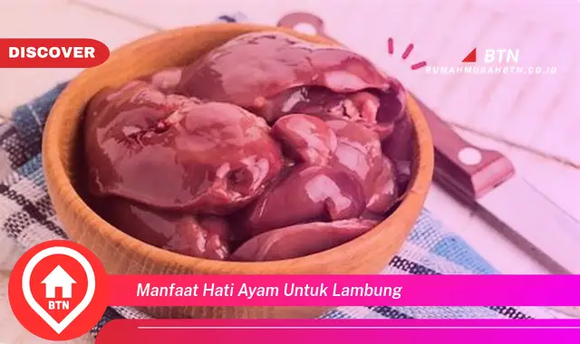 manfaat hati ayam untuk lambung