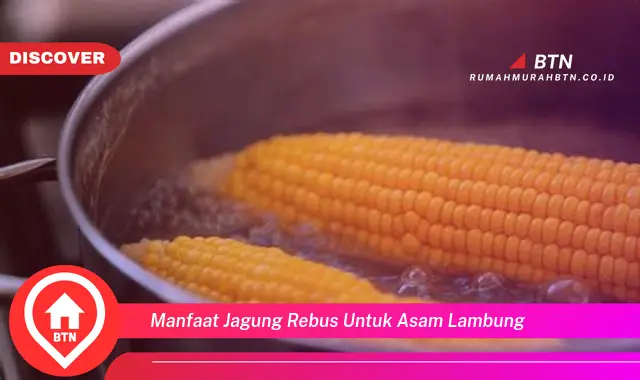 manfaat jagung rebus untuk asam lambung