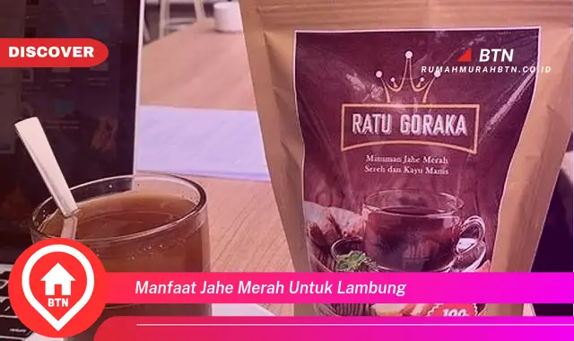 manfaat jahe merah untuk lambung