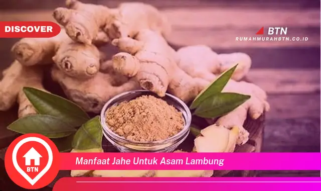 manfaat jahe untuk asam lambung