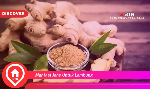 manfaat jahe untuk lambung