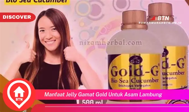 manfaat jelly gamat gold untuk asam lambung