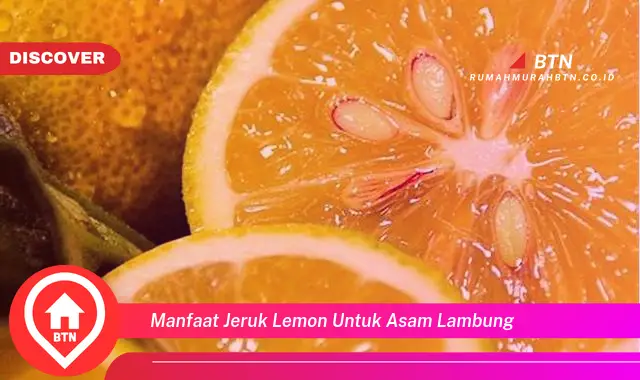 manfaat jeruk lemon untuk asam lambung