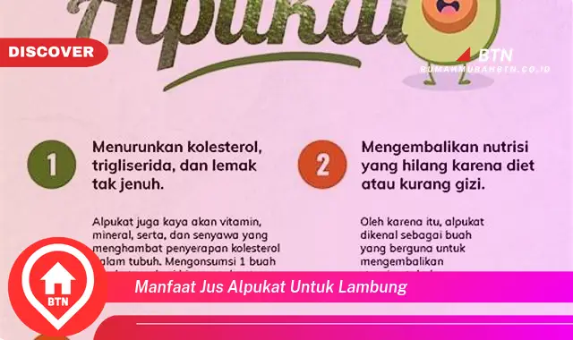 manfaat jus alpukat untuk lambung