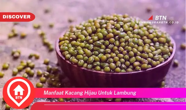 manfaat kacang hijau untuk lambung