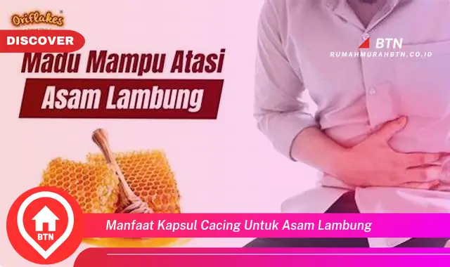 manfaat kapsul cacing untuk asam lambung