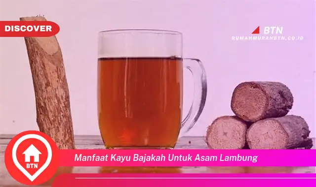 manfaat kayu bajakah untuk asam lambung