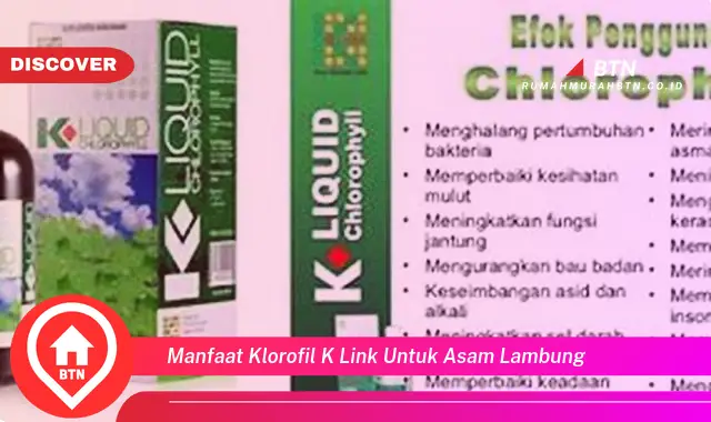 manfaat klorofil k link untuk asam lambung