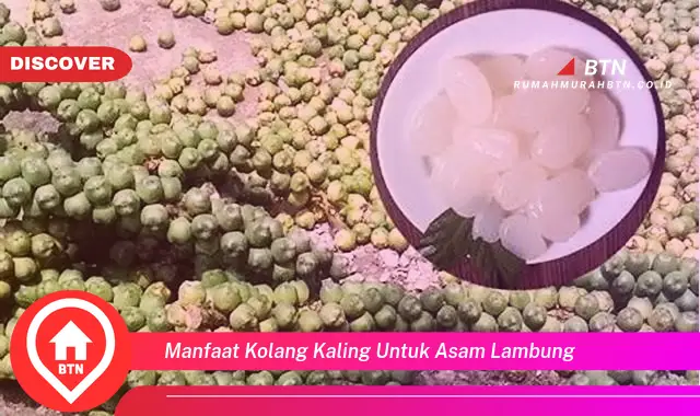 manfaat kolang kaling untuk asam lambung