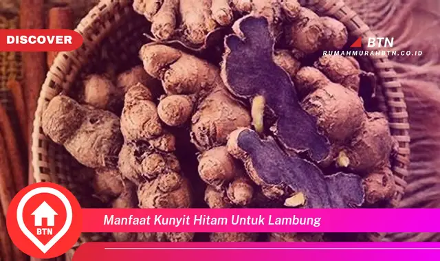 manfaat kunyit hitam untuk lambung