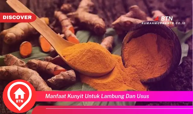 manfaat kunyit untuk lambung dan usus