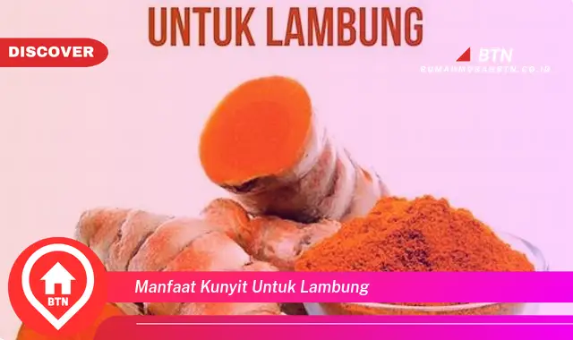 manfaat kunyit untuk lambung