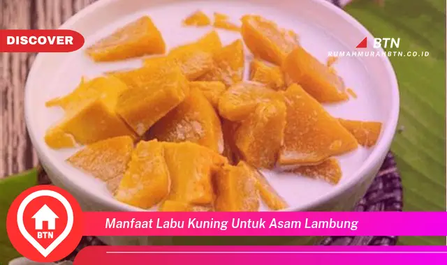 manfaat labu kuning untuk asam lambung