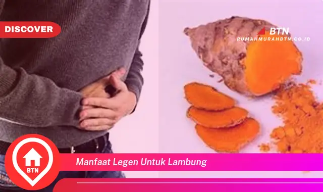 manfaat legen untuk lambung