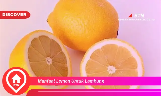 manfaat lemon untuk lambung