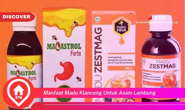 manfaat madu klanceng untuk asam lambung