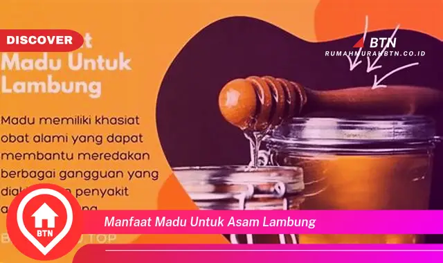 manfaat madu untuk asam lambung