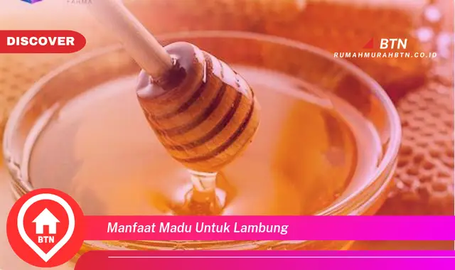 manfaat madu untuk lambung