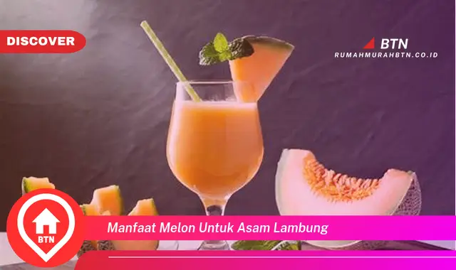 manfaat melon untuk asam lambung