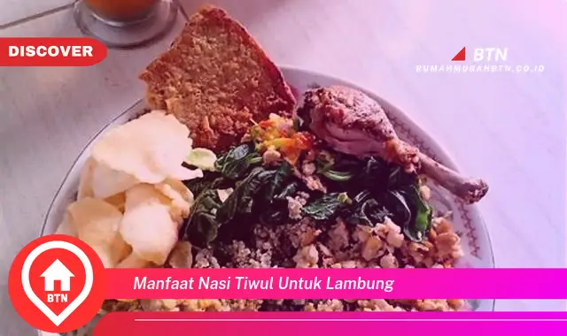 manfaat nasi tiwul untuk lambung