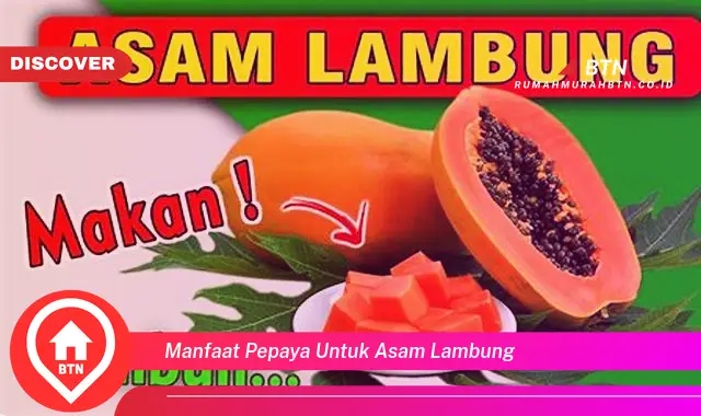 manfaat pepaya untuk asam lambung