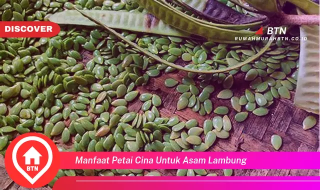 manfaat petai cina untuk asam lambung