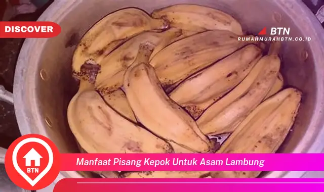 manfaat pisang kepok untuk asam lambung